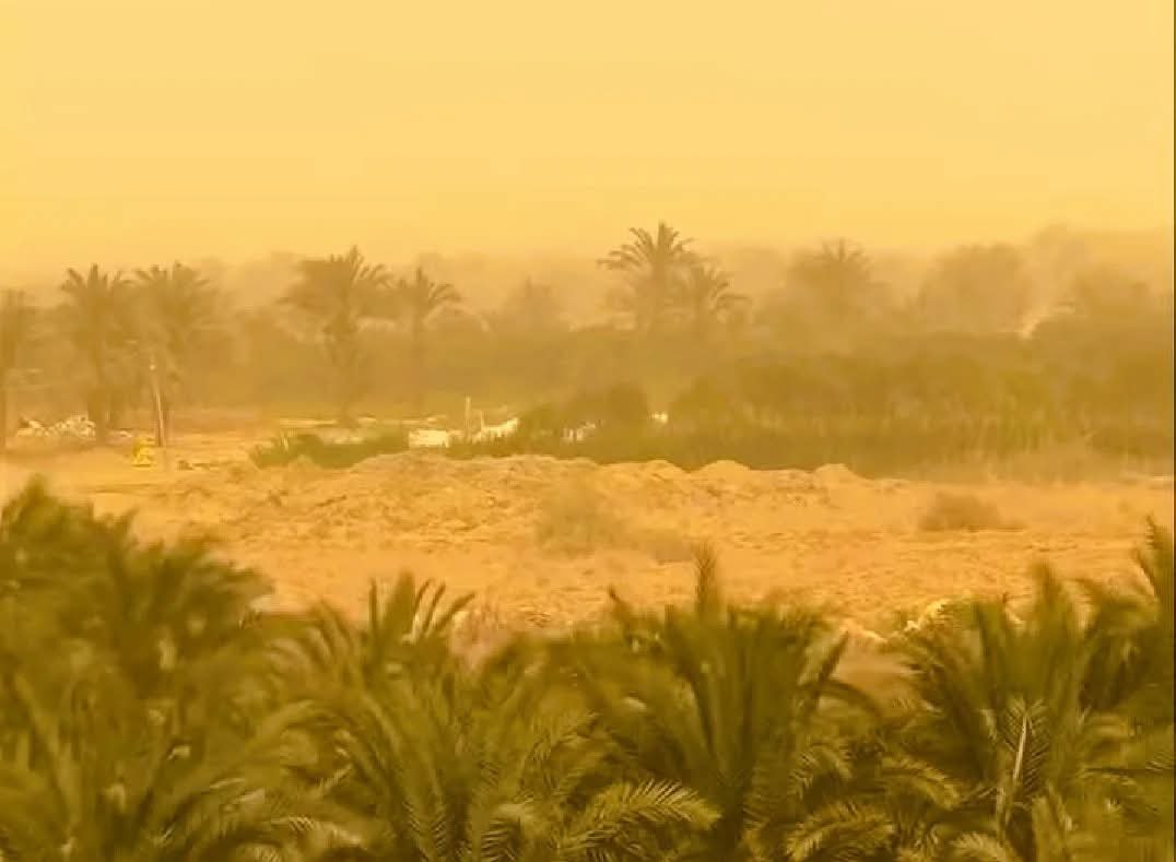 محافظة كفر الشيخ تُحذر: 4 تعليمات عاجلة لمواجهة العاصفة الترابية