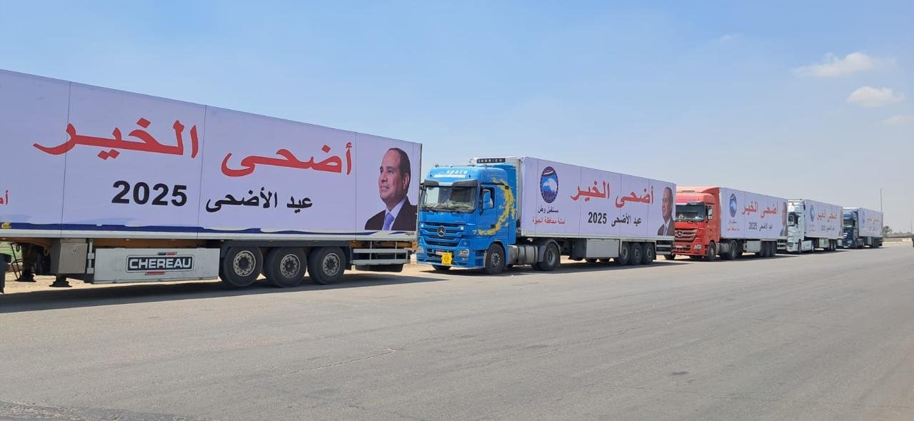 «مستقبل وطن» يطلق «أضحى الخير» بمحافظة الجيزة