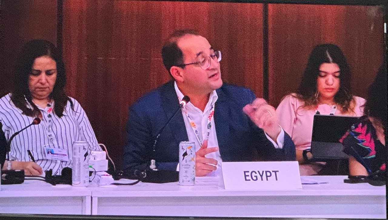 كجوك.. في جلسة حول دمج أهداف المناخ في السياسات الاقتصادية بالبرازيل:مصر تستثمر في المستقبل  بمشروعات تنموية أكثر استدامة وتكيفًا مع المناخ