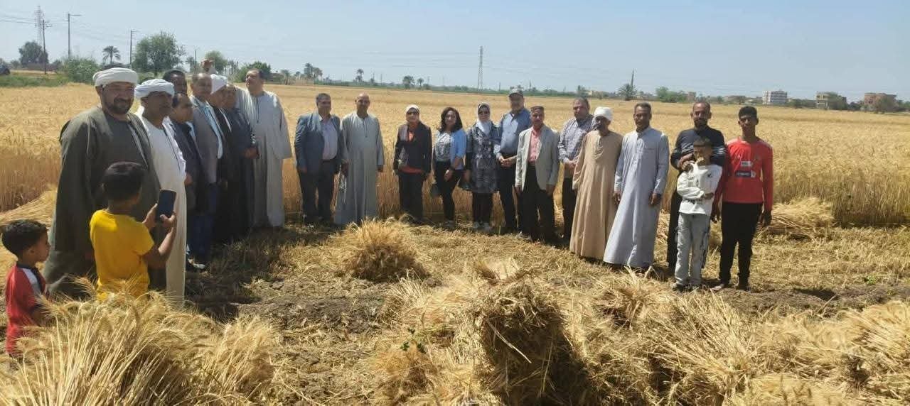 “الزراعة” تتابع حصاد وتوريد القمح بالفيوم وتؤكد: غرف عملية مركزية لتذليل العقبات أمام المزارعين