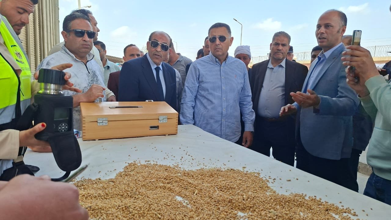 تموين القليوبية: زيادة الإنتاج المحلي من القمح تسهم في خفض الاعتماد على الاستيراد