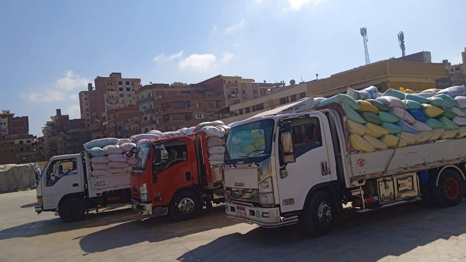 الذهب الأصفر يتدفق بصوامع القليوبية.. توريد ما يقارب ٤٦ ألف طن من القمح المحلي بالقليوبية