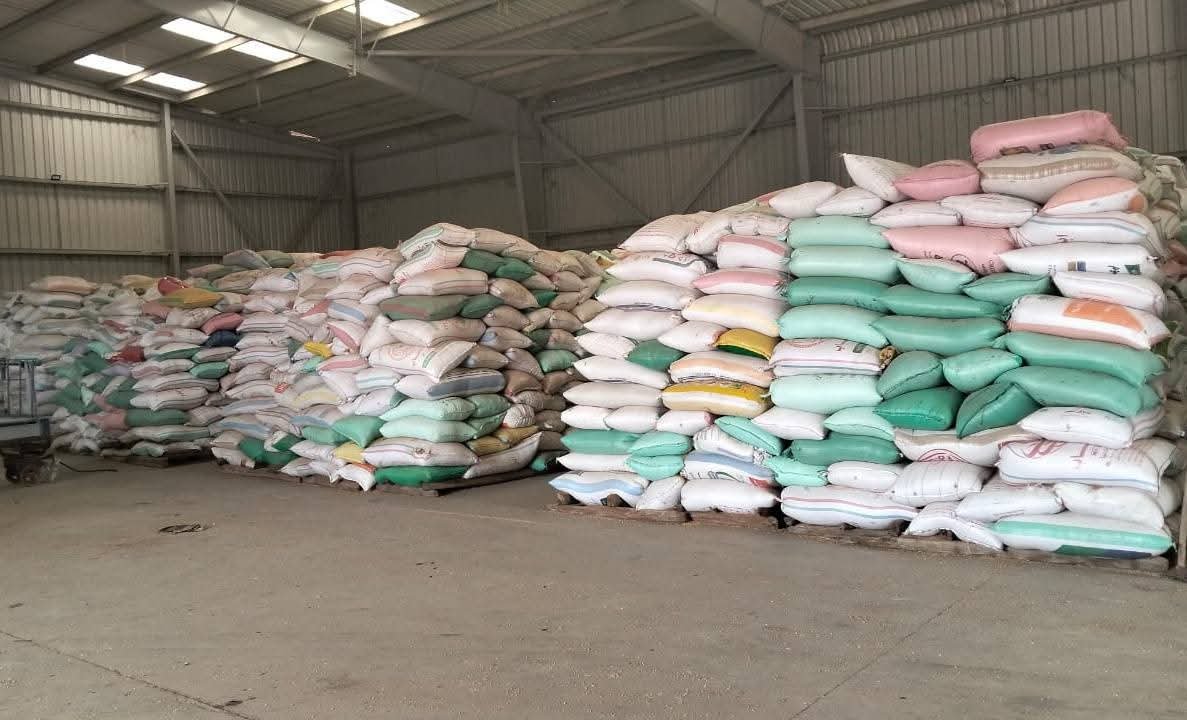 الذهب الأصفر” بالقليوبية .. توريد ما يزيد عن ٨١ ألف طن قمح بالقليوبية حتي الآن