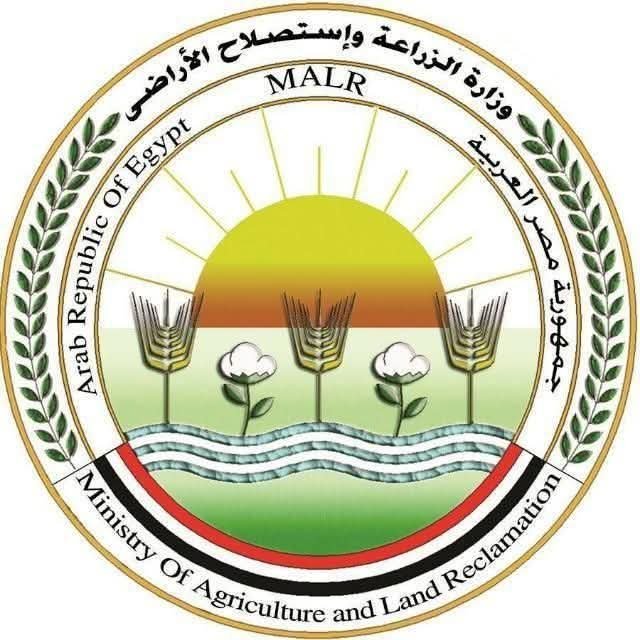 “الزراعة” تطلق تحذيرات عاجلة وإرشادات فنية لمواجهة التقلبات الجوية وحماية الإنتاج