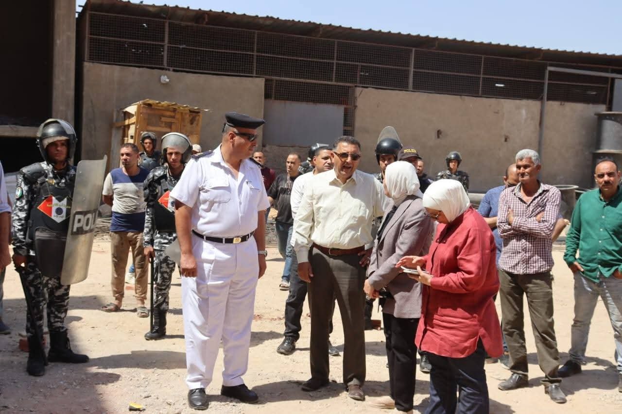 محافظ القليوبية يشهد إزالة مبنى مخالف على مساحة 700 متر بحي غرب شبرا الخيمة